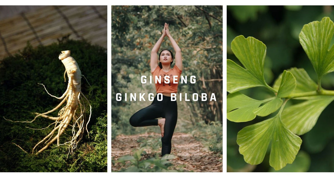Care este diferența între Ginseng și Ginkgo biloba?