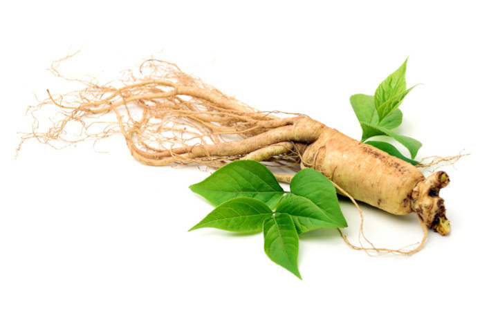 Ginkgo biloba si ginseng beneficii – care este diferenta în efectul lor?