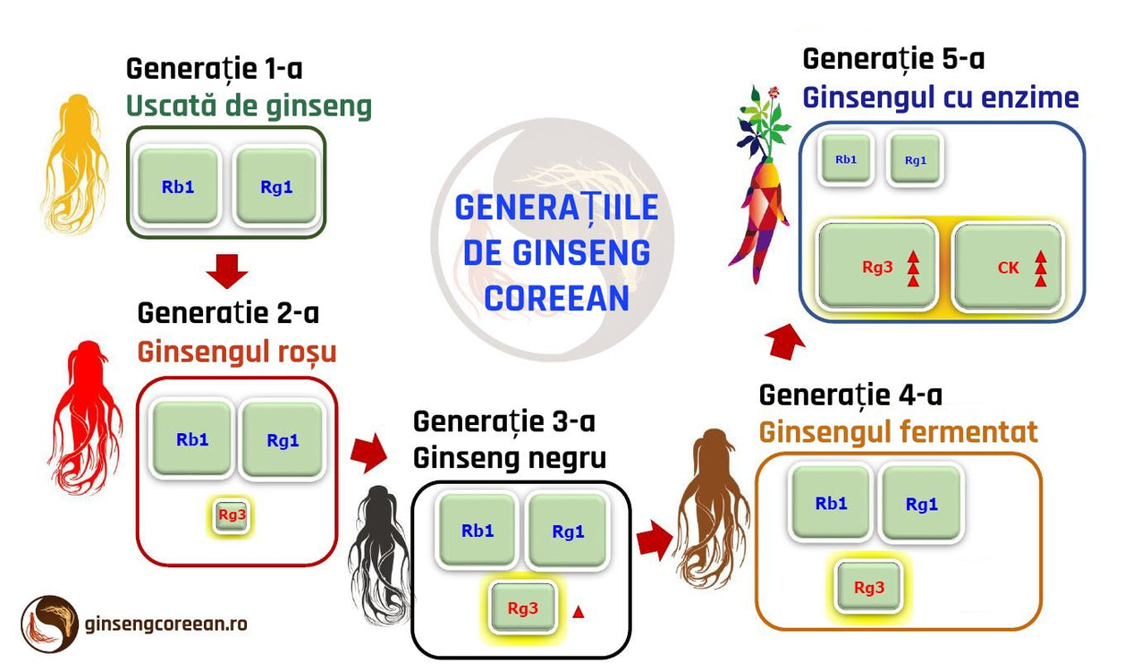Generațiile de ginseng și substanțele active de ginseng
