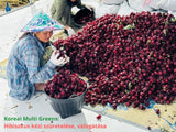 Culesul și sortarea manuală a hibiscusului pe ferma Multi Greens Coreean