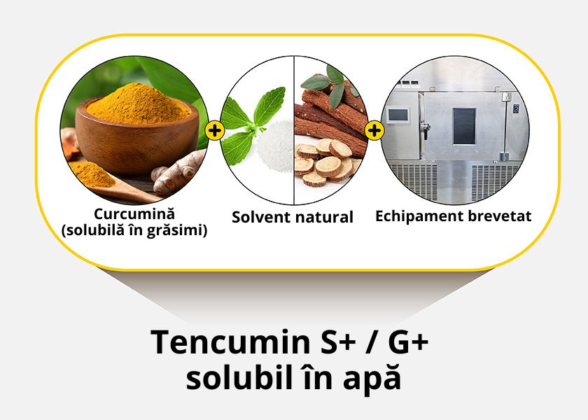 Tablete de Curcuma Coreeană 60 buc – Cu Curcumină Solubilă în Apă